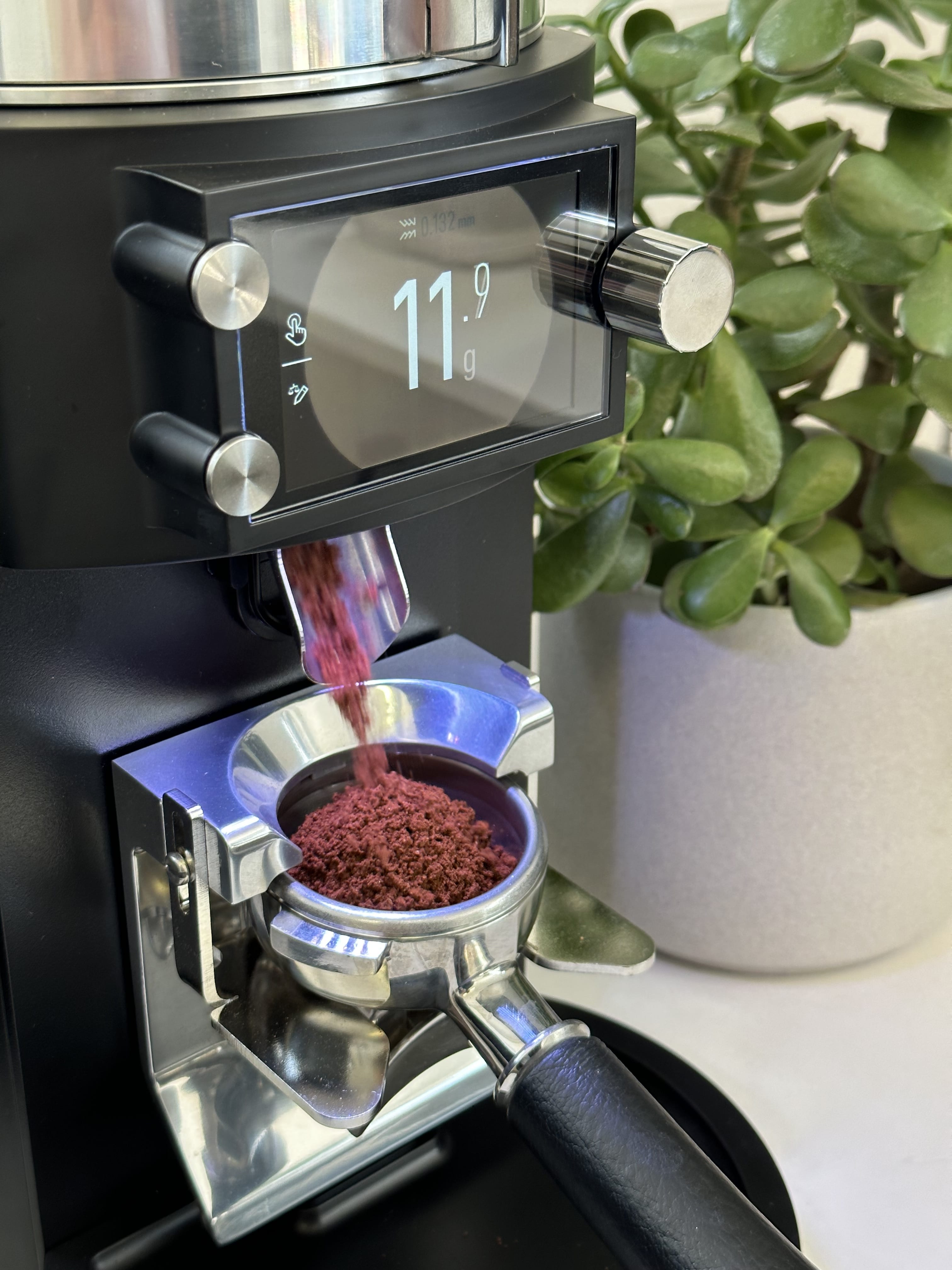 Mahlkonig E65s GBW (Grind by Weight) Espresso Grinder Casa Espresso